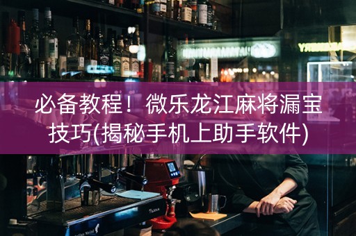 必备教程！微乐龙江麻将漏宝技巧(揭秘手机上助手软件)