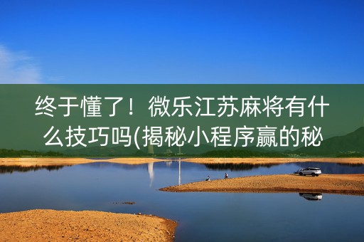 终于懂了！微乐江苏麻将有什么技巧吗(揭秘小程序赢的秘诀)