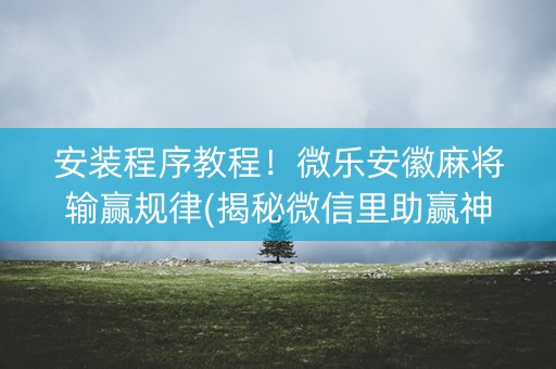 安装程序教程！微乐安徽麻将输赢规律(揭秘微信里助赢神器)
