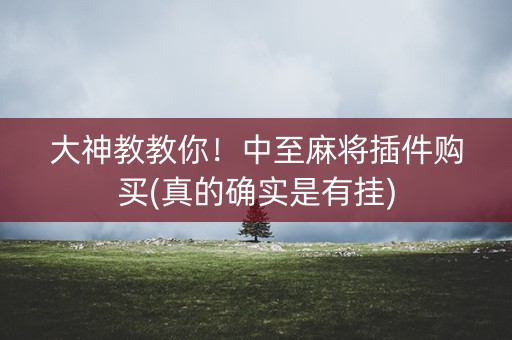 大神教教你！中至麻将插件购买(真的确实是有挂)