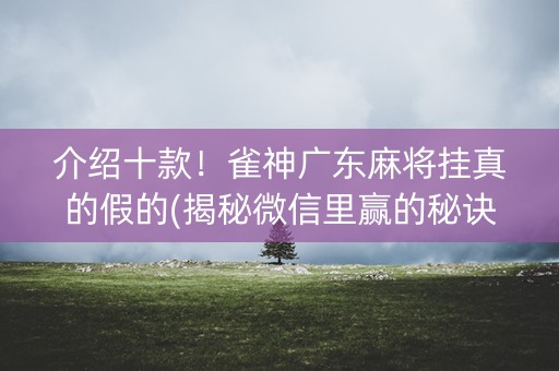 介绍十款！雀神广东麻将挂真的假的(揭秘微信里赢的秘诀)