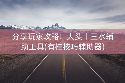 分享玩家攻略！大头十三水辅助工具(有挂技巧辅助器)