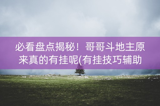 必看盘点揭秘！哥哥斗地主原来真的有挂呢(有挂技巧辅助器)