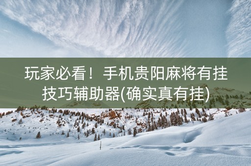 玩家必看！手机贵阳麻将有挂技巧辅助器(确实真有挂)