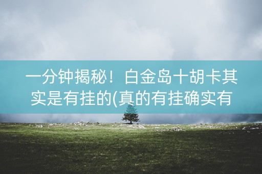 一分钟揭秘！白金岛十胡卡其实是有挂的(真的有挂确实有挂)