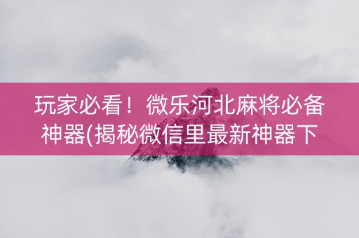 玩家必看！微乐河北麻将必备神器(揭秘微信里最新神器下载)
