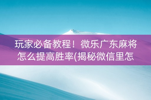 玩家必备教程！微乐广东麻将怎么提高胜率(揭秘微信里怎么容易赢)