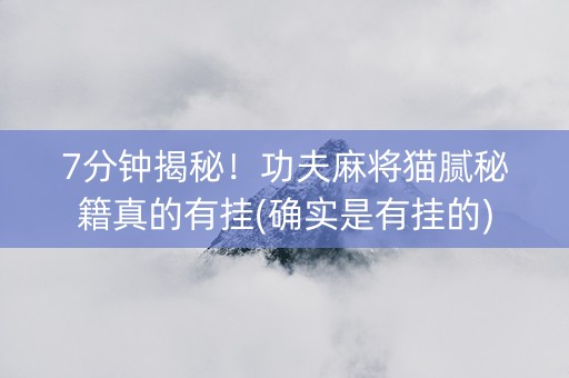 7分钟揭秘！功夫麻将猫腻秘籍真的有挂(确实是有挂的)