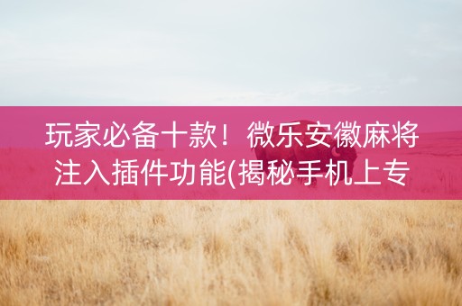玩家必备十款！微乐安徽麻将注入插件功能(揭秘手机上专用神器下载)