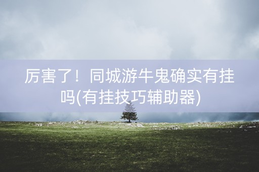 厉害了！同城游牛鬼确实有挂吗(有挂技巧辅助器)