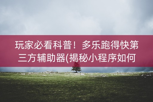 玩家必看科普！多乐跑得快第三方辅助器(揭秘小程序如何让牌变好)