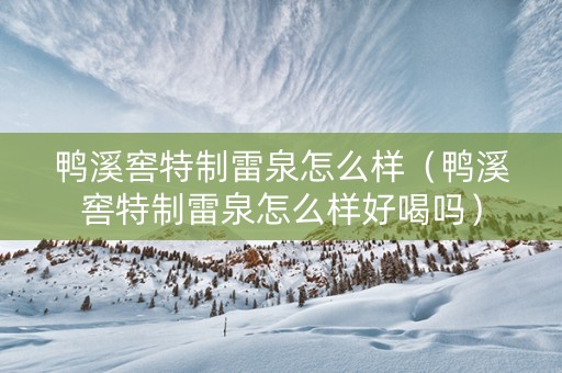 鸭溪窖特制雷泉怎么样（鸭溪窖特制雷泉怎么样好喝吗）