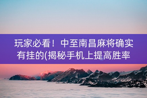 玩家必看！中至南昌麻将确实有挂的(揭秘手机上提高胜率)
