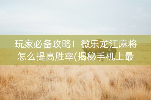 玩家必备攻略！微乐龙江麻将怎么提高胜率(揭秘手机上最新神器下载)
