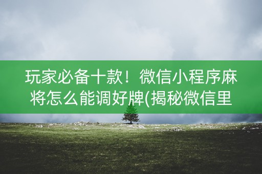 玩家必备十款！微信小程序麻将怎么能调好牌(揭秘微信里最新神器下载)