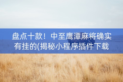 盘点十款！中至鹰潭麻将确实有挂的(揭秘小程序插件下载)