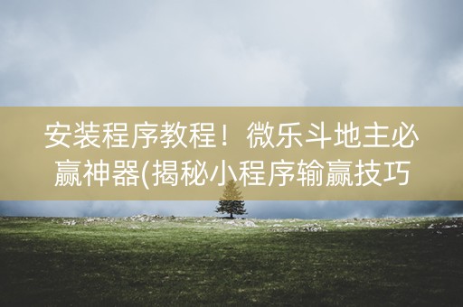 安装程序教程！微乐斗地主必赢神器(揭秘小程序输赢技巧)