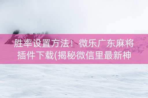 胜率设置方法！微乐广东麻将插件下载(揭秘微信里最新神器下载)