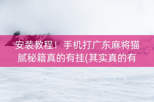 安装教程！手机打广东麻将猫腻秘籍真的有挂(其实真的有挂)