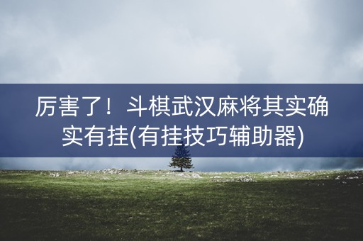 厉害了！斗棋武汉麻将其实确实有挂(有挂技巧辅助器)