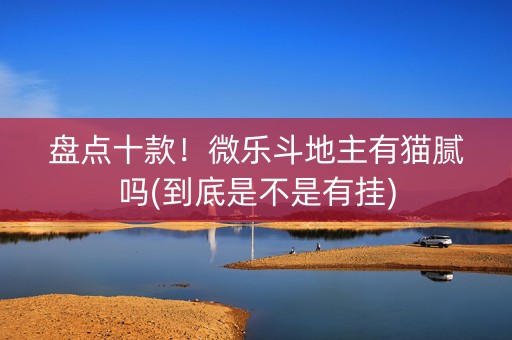 盘点十款！微乐斗地主有猫腻吗(到底是不是有挂)