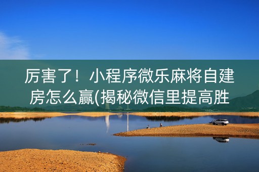 厉害了！小程序微乐麻将自建房怎么赢(揭秘微信里提高胜率)