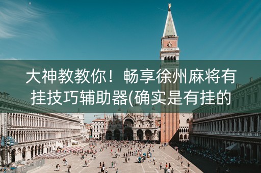 大神教教你！畅享徐州麻将有挂技巧辅助器(确实是有挂的)