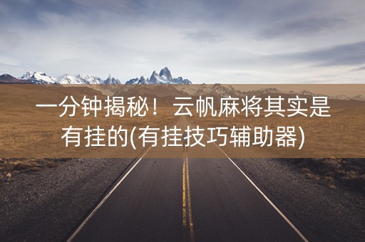 一分钟揭秘！云帆麻将其实是有挂的(有挂技巧辅助器)