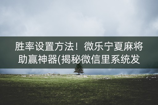 胜率设置方法！微乐宁夏麻将助赢神器(揭秘微信里系统发好牌)