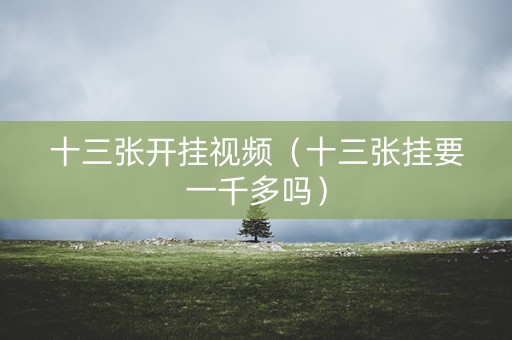 十三张开挂视频（十三张挂要一千多吗）