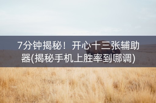 7分钟揭秘！开心十三张辅助器(揭秘手机上胜率到哪调)