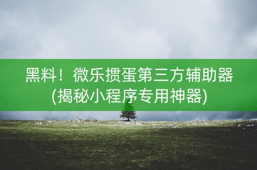 黑料！微乐掼蛋第三方辅助器(揭秘小程序专用神器)