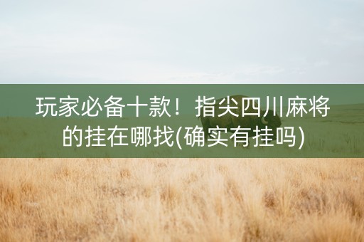 玩家必备十款！指尖四川麻将的挂在哪找(确实有挂吗)