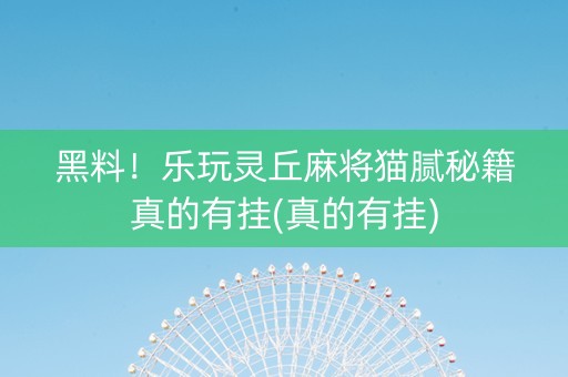 黑料！乐玩灵丘麻将猫腻秘籍真的有挂(真的有挂)
