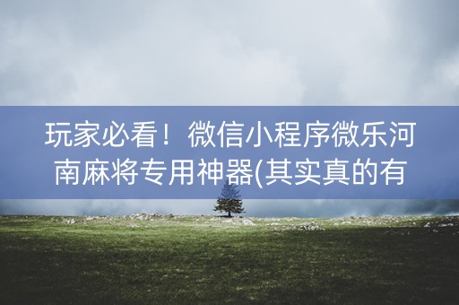 玩家必看！微信小程序微乐河南麻将专用神器(其实真的有挂)