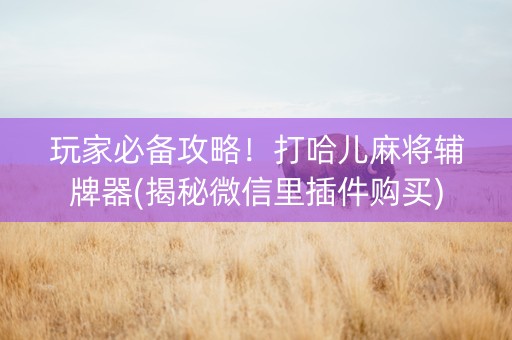 玩家必备攻略！打哈儿麻将辅牌器(揭秘微信里插件购买)