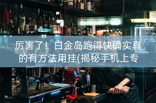 厉害了！白金岛跑得快确实真的有方法用挂(揭秘手机上专用神器下载)