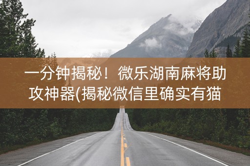 一分钟揭秘！微乐湖南麻将助攻神器(揭秘微信里确实有猫腻)
