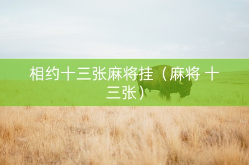 相约十三张麻将挂（麻将 十三张）