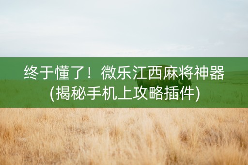 终于懂了！微乐江西麻将神器(揭秘手机上攻略插件)