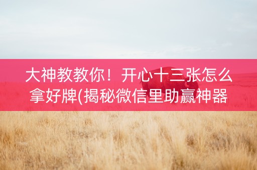 大神教教你！开心十三张怎么拿好牌(揭秘微信里助赢神器购买)