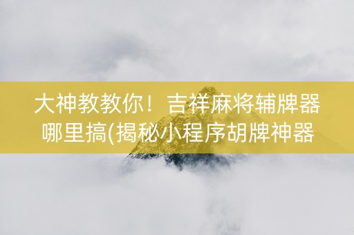 大神教教你！吉祥麻将辅牌器哪里搞(揭秘小程序胡牌神器)