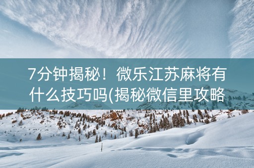 7分钟揭秘！微乐江苏麻将有什么技巧吗(揭秘微信里攻略插件)