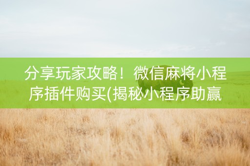 分享玩家攻略！微信麻将小程序插件购买(揭秘小程序助赢神器购买)