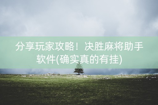 分享玩家攻略！决胜麻将助手软件(确实真的有挂)