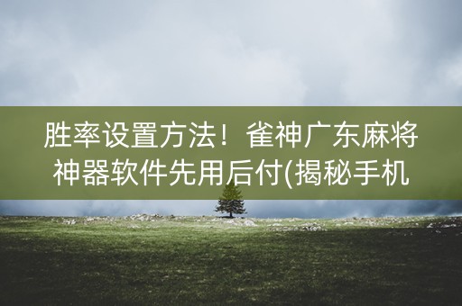 胜率设置方法！雀神广东麻将神器软件先用后付(揭秘手机上如何让牌变好)