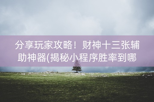 分享玩家攻略！财神十三张辅助神器(揭秘小程序胜率到哪调)