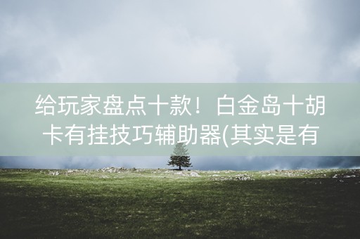给玩家盘点十款！白金岛十胡卡有挂技巧辅助器(其实是有挂确实有挂)