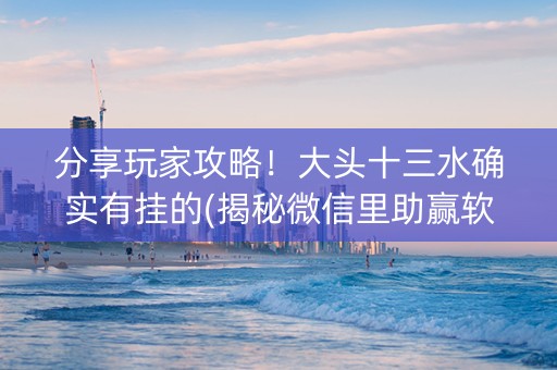 分享玩家攻略！大头十三水确实有挂的(揭秘微信里助赢软件)