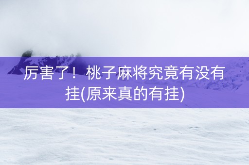 厉害了！桃子麻将究竟有没有挂(原来真的有挂)
